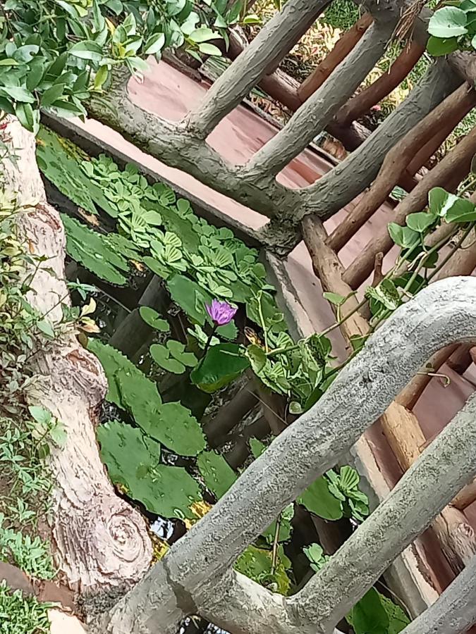 Sigiriya Nature View Home Stay 외부 사진